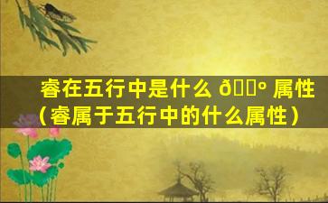 睿在五行中是什么 🐺 属性（睿属于五行中的什么属性）